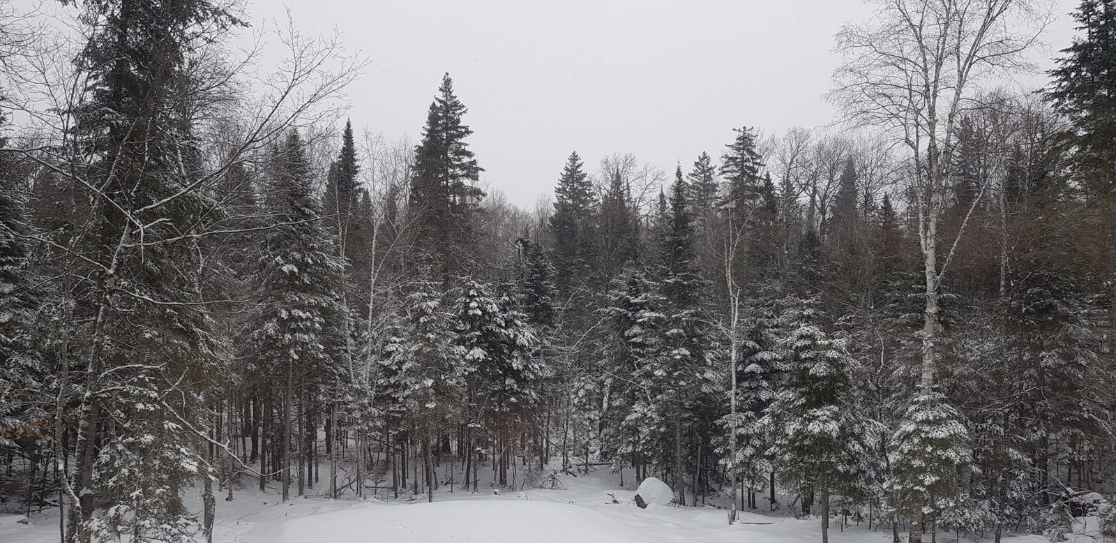 Doing a chalet, Québec style