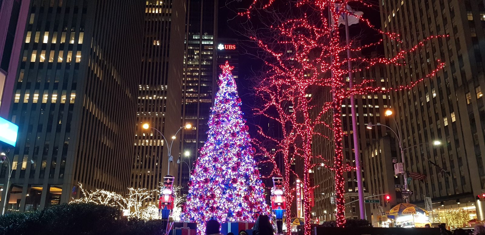 Christmas in New York, as dog-sitters
