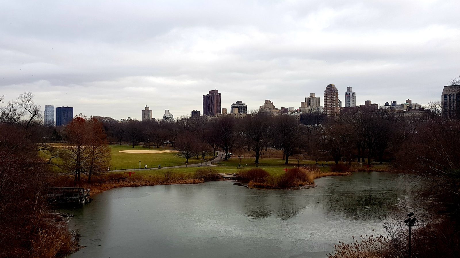 Central Park en hiver