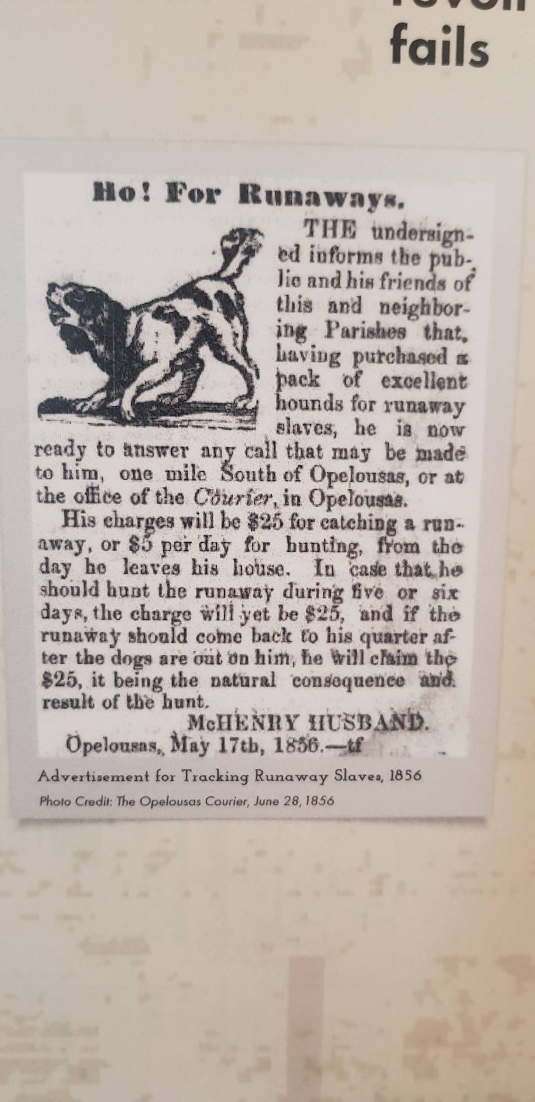 The 1856 advertisement