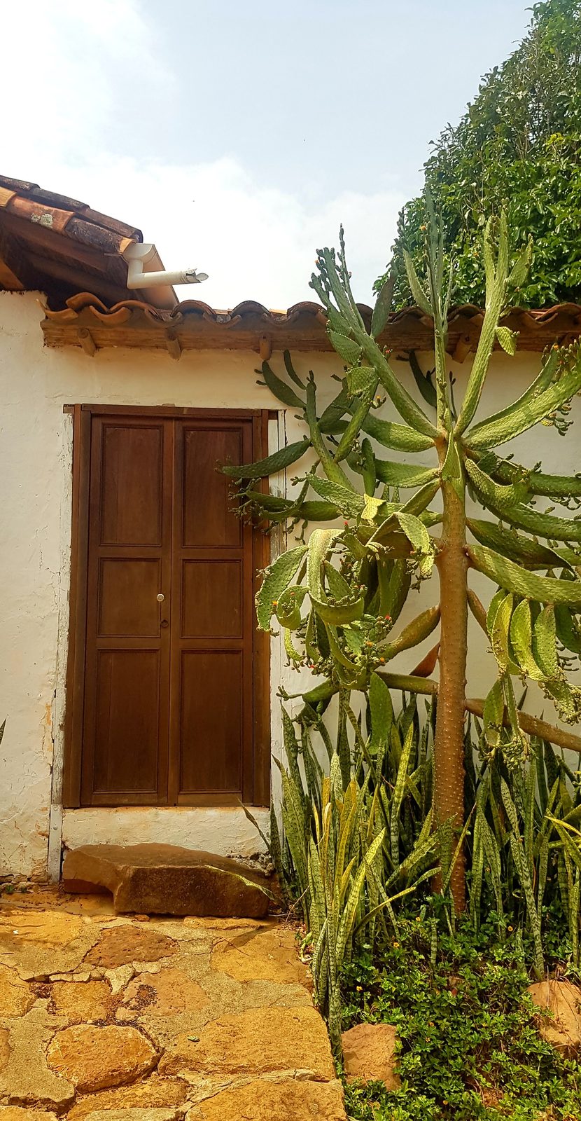 A door in Barichara and its cacti
