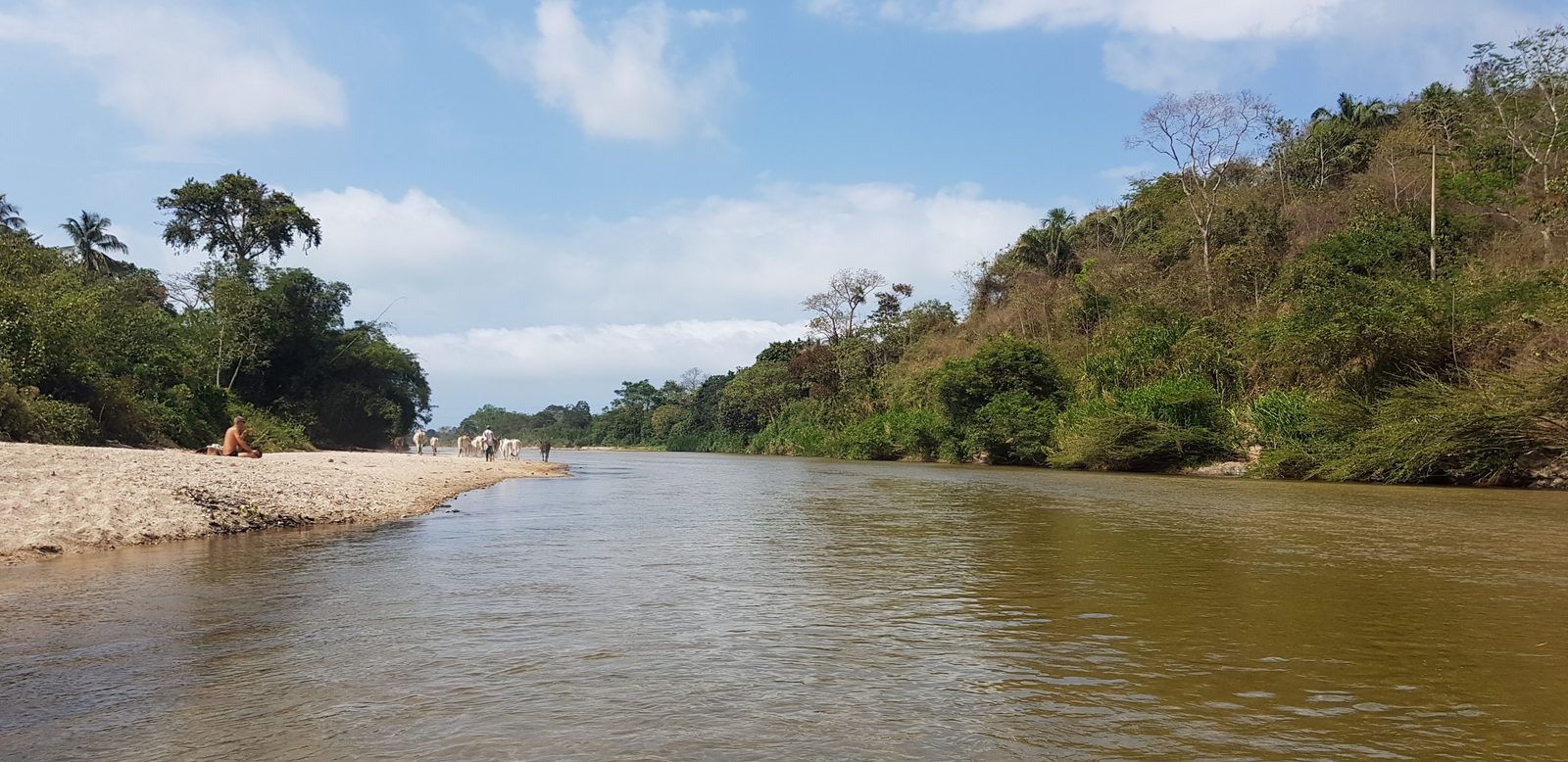 Le río Palomino