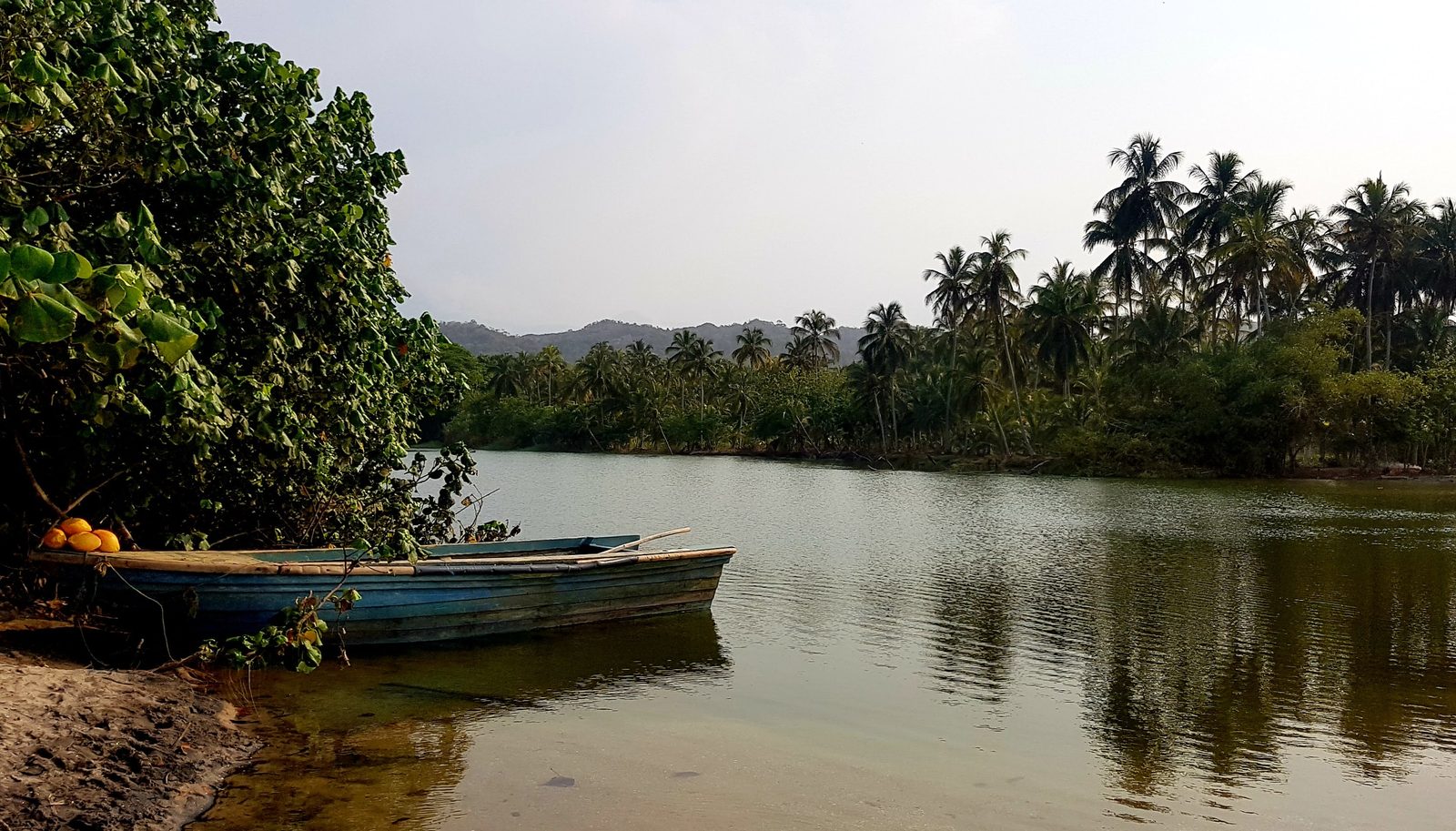 L'embouchure du río Palomino