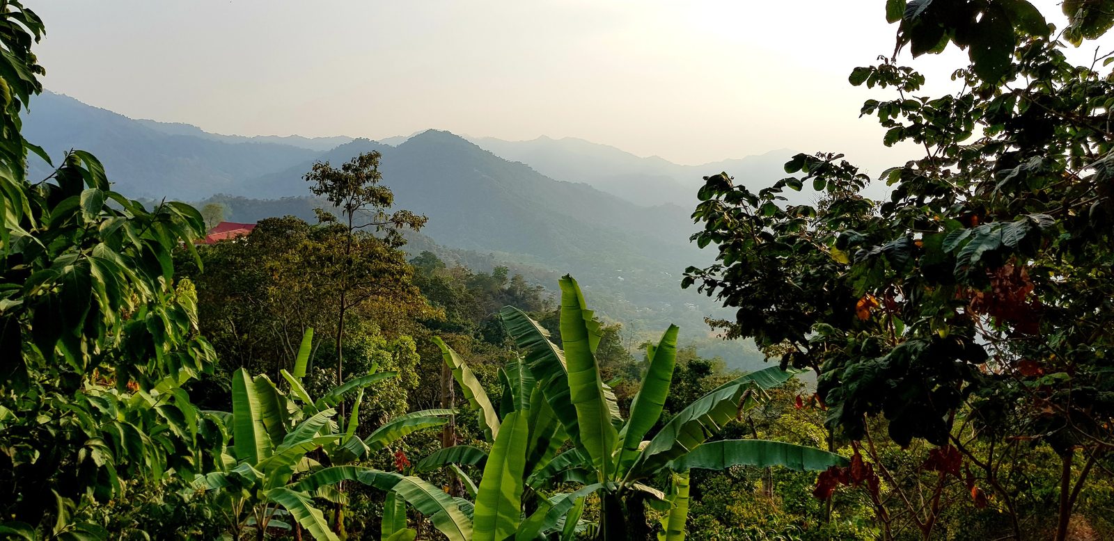 La vallée de Minca