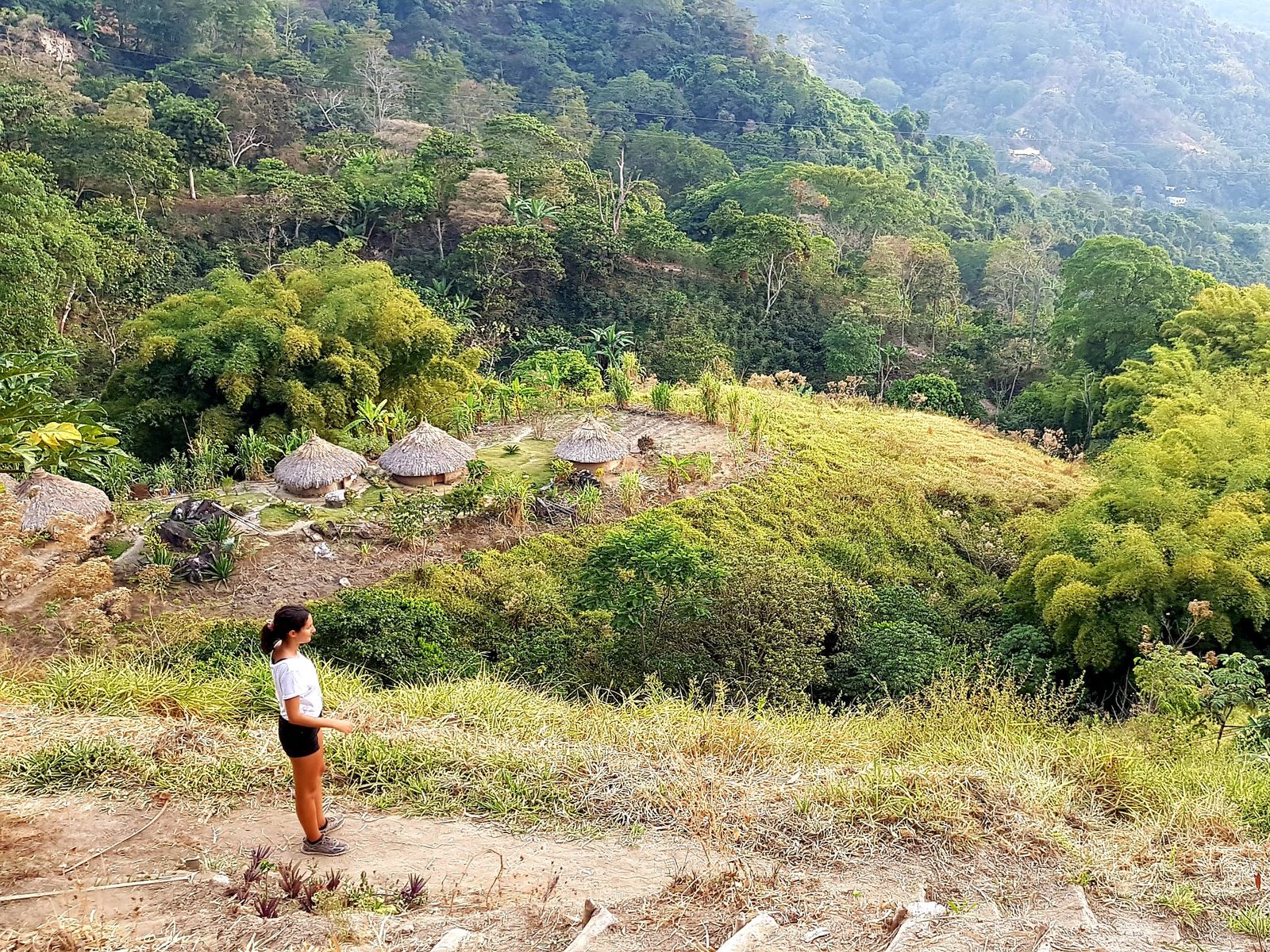 La jungle autour de Minca