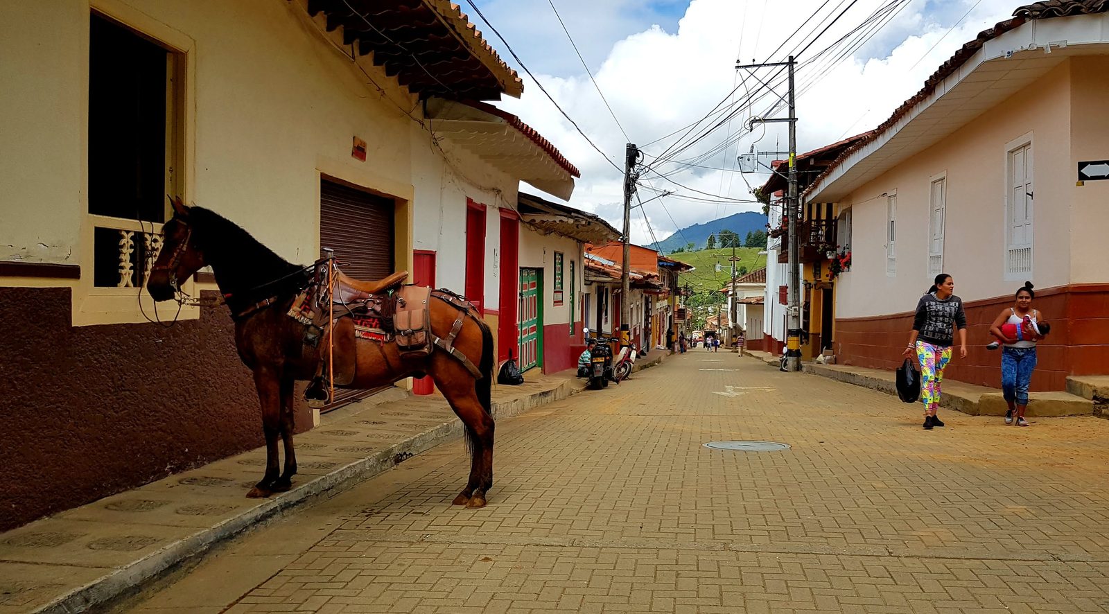 Un cheval dans la rue
