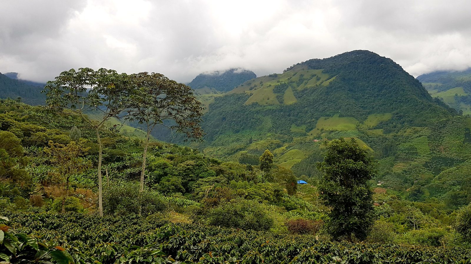 Jardín dans sa vallée