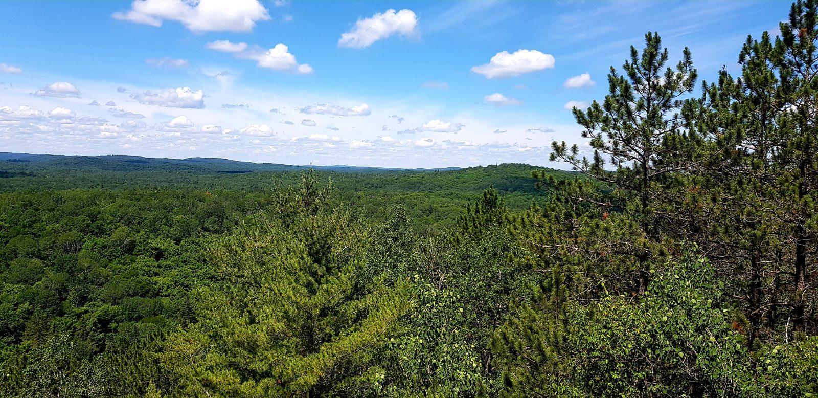 Les collines d'Algonquin