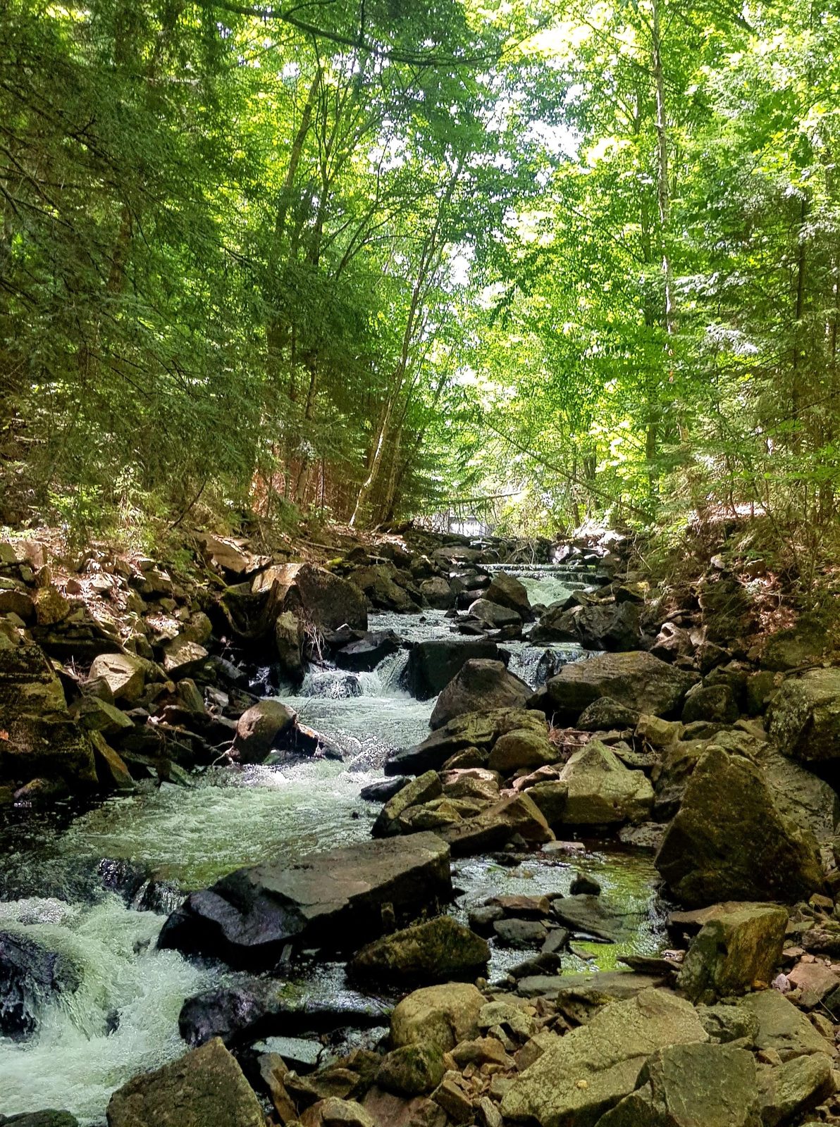 La petite chute du sentier