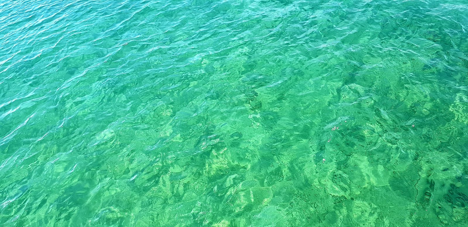 Clear water above the wrecks