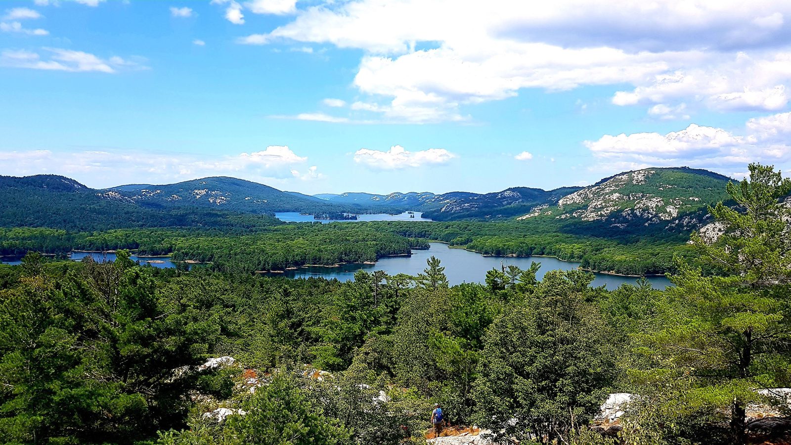 Lacs et collines La Cloche