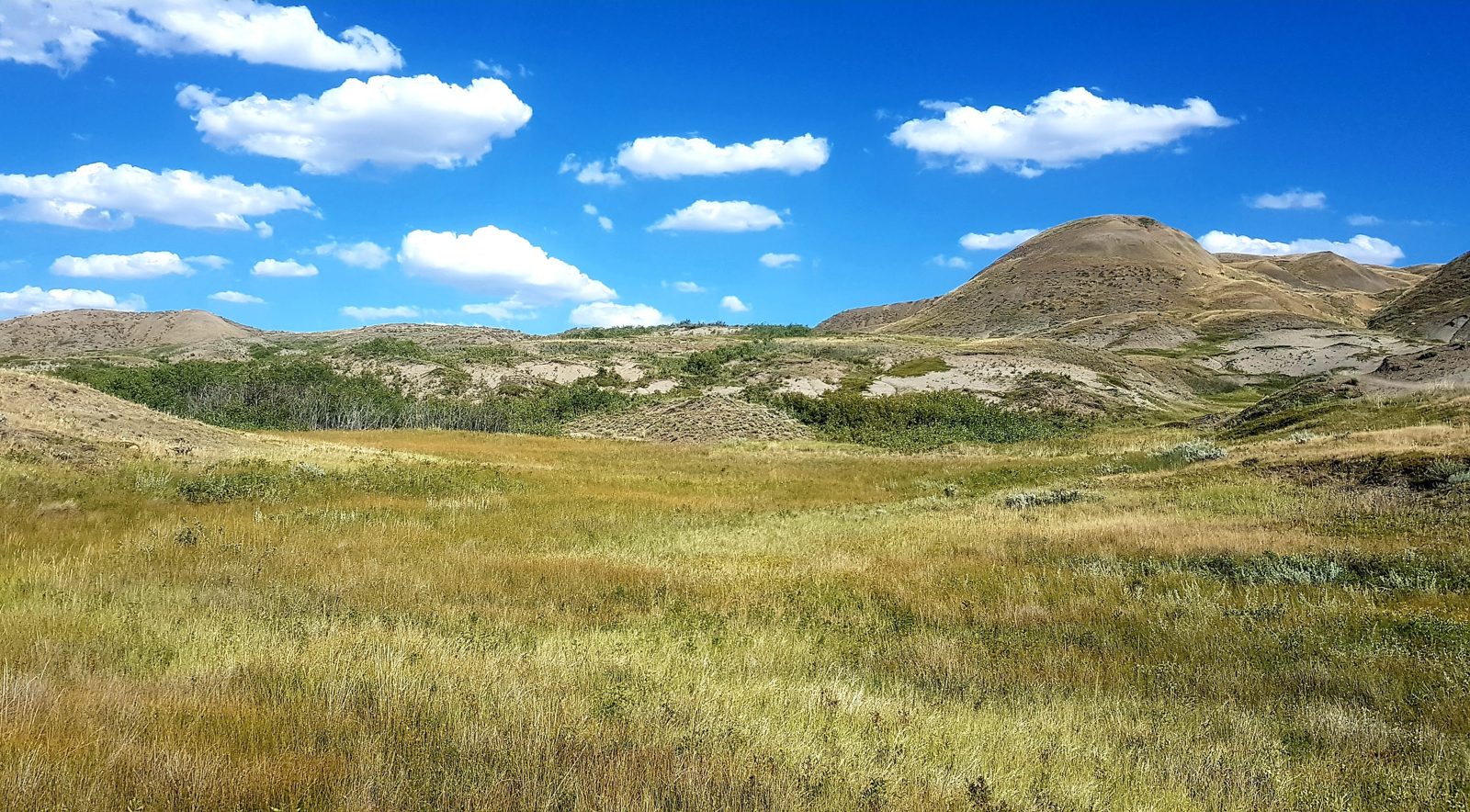 Grasslands National Park