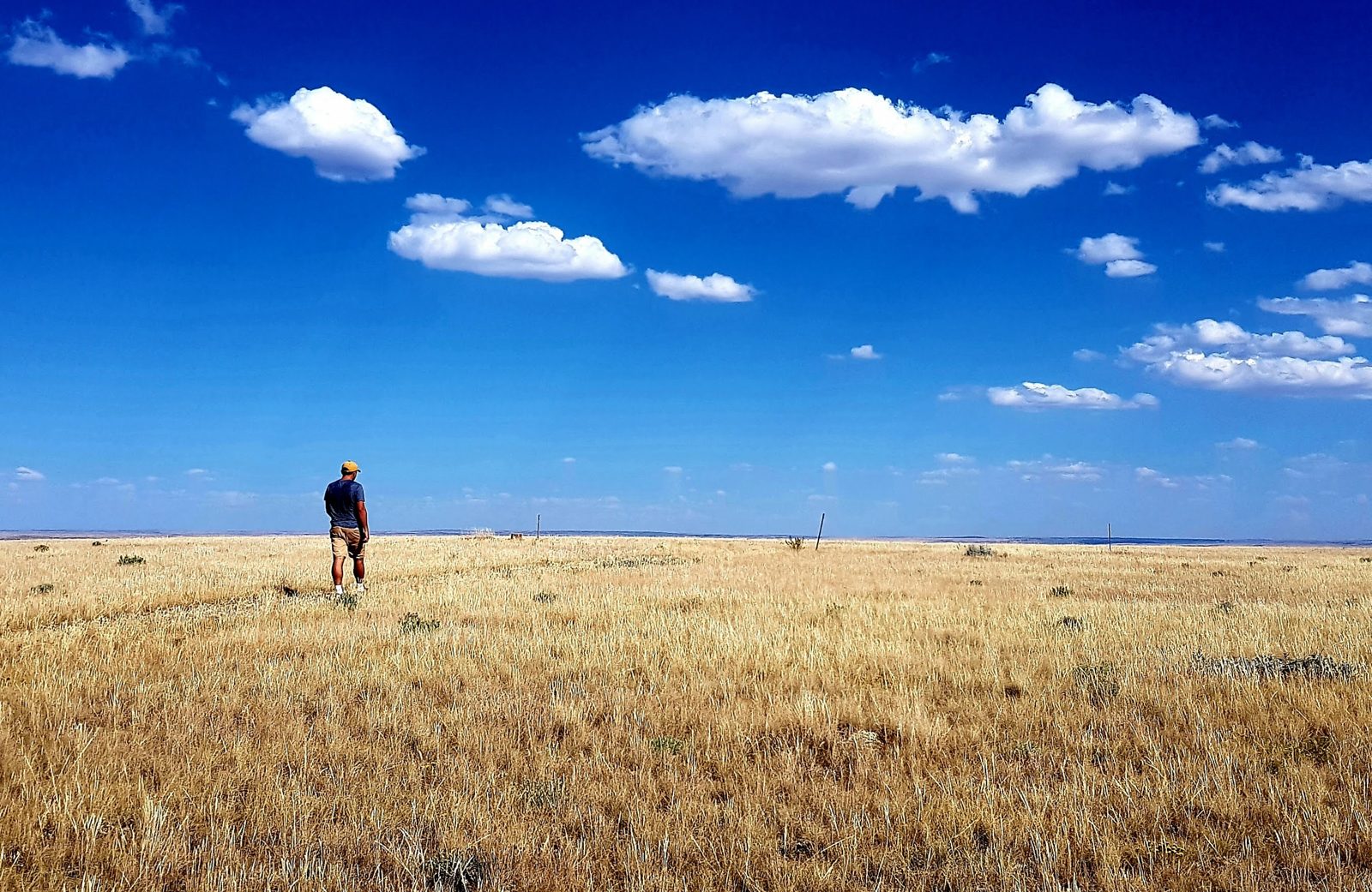 Prairie as far as the eye can see