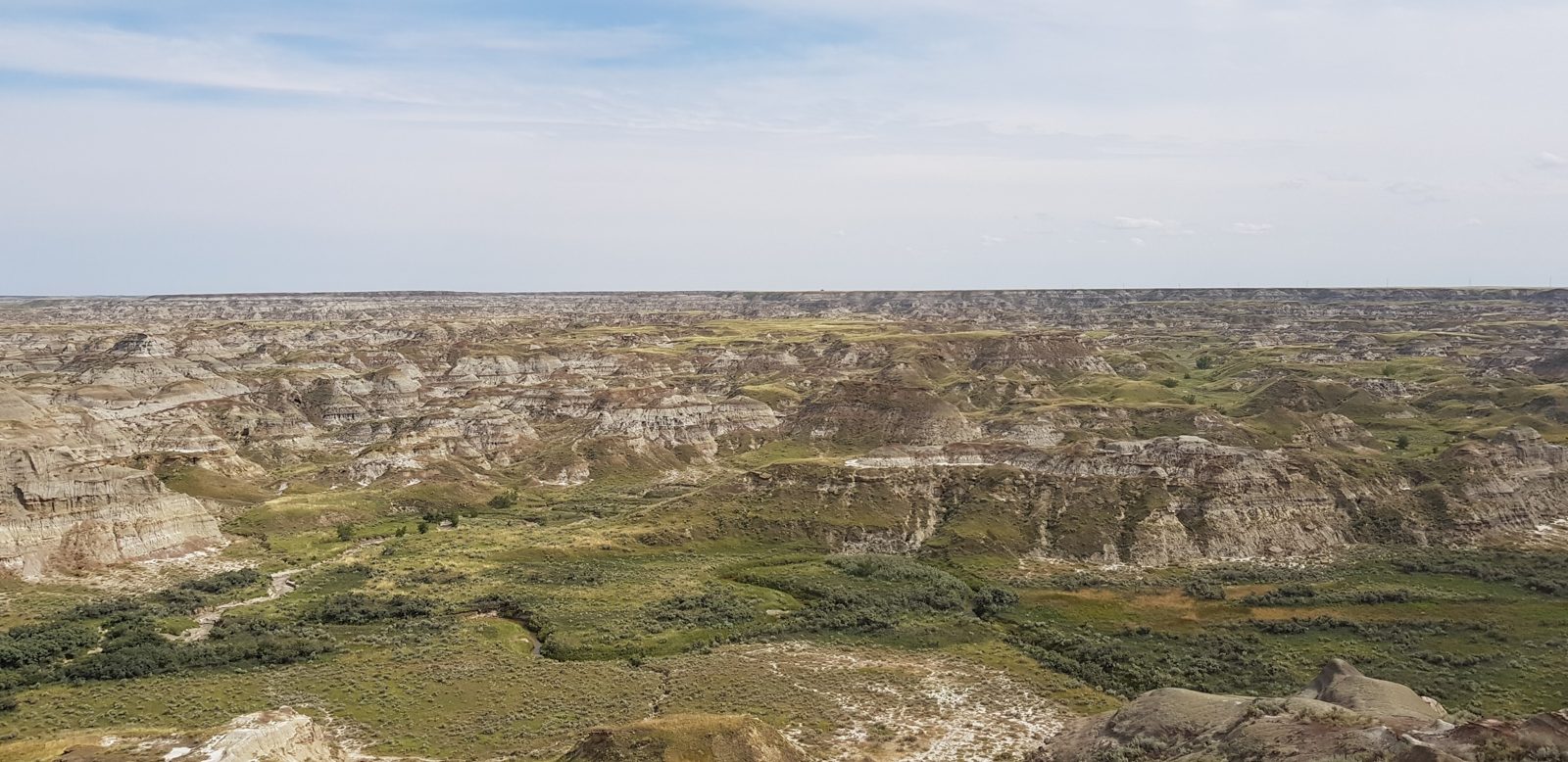 The badlands of Dinosaur Park