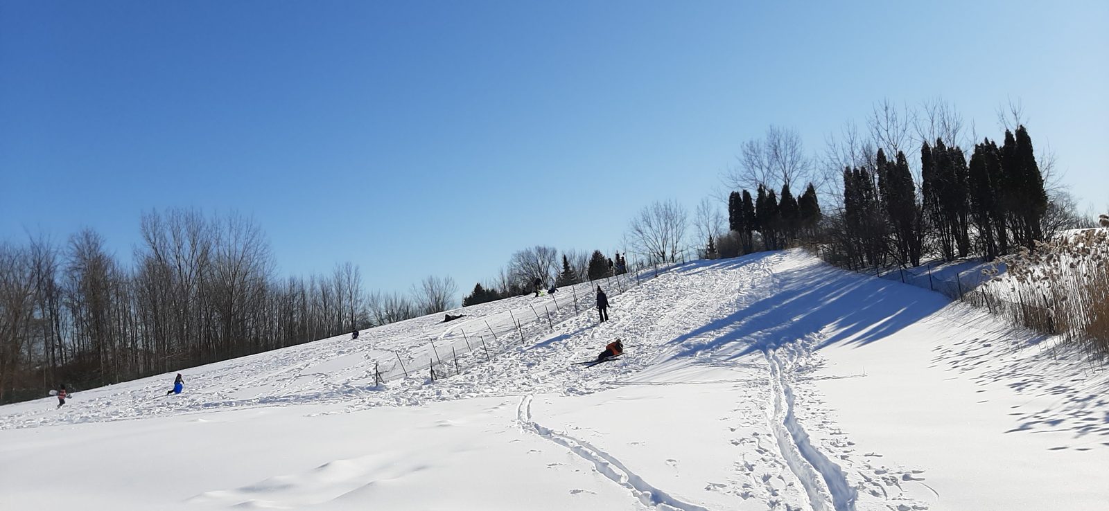 Sur les skis de fond