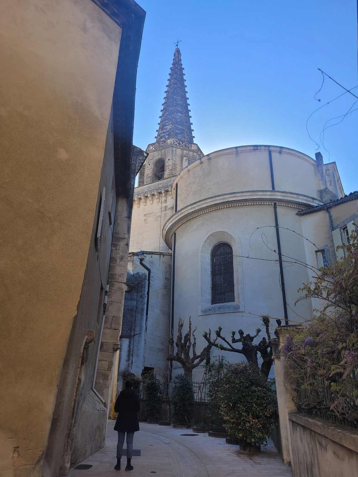 La collégiale Saint-Martin de Saint-Rémy-de-Provence
