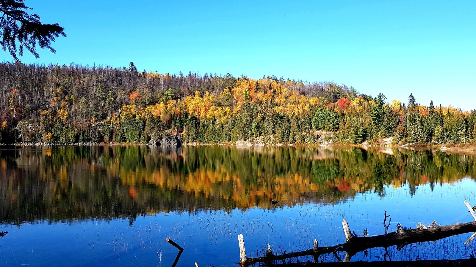 Voyage au Coeur des Couleurs d'Automne au Québec