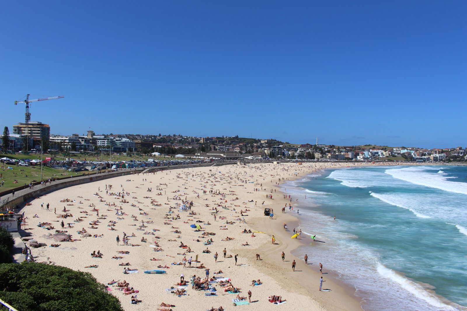 Où l'on commence enfin à se plonger dans la vraie vie des Sydneysiders
