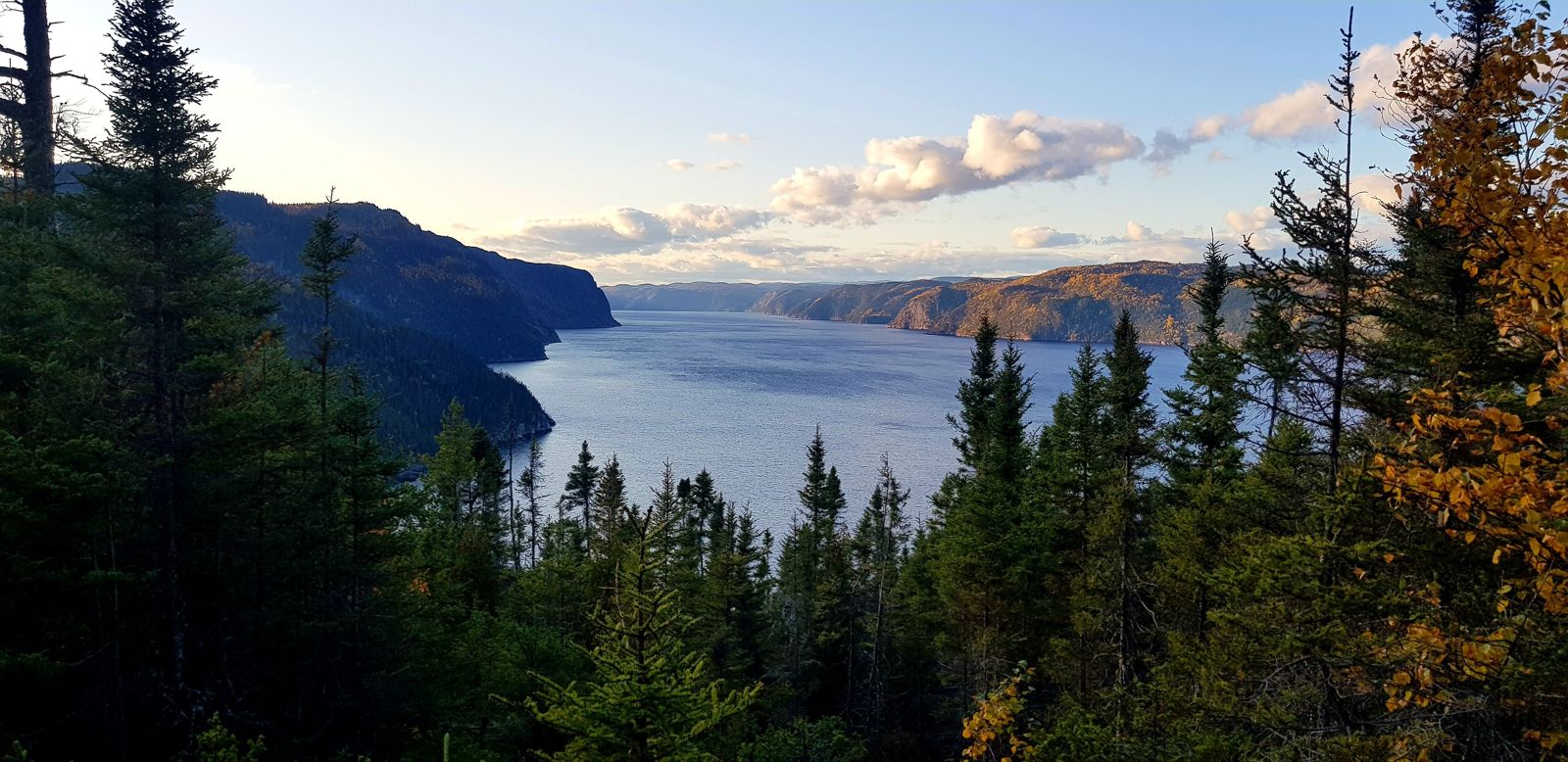 Découverte du Fjord du Saguenay: Une Journée Inoubliable