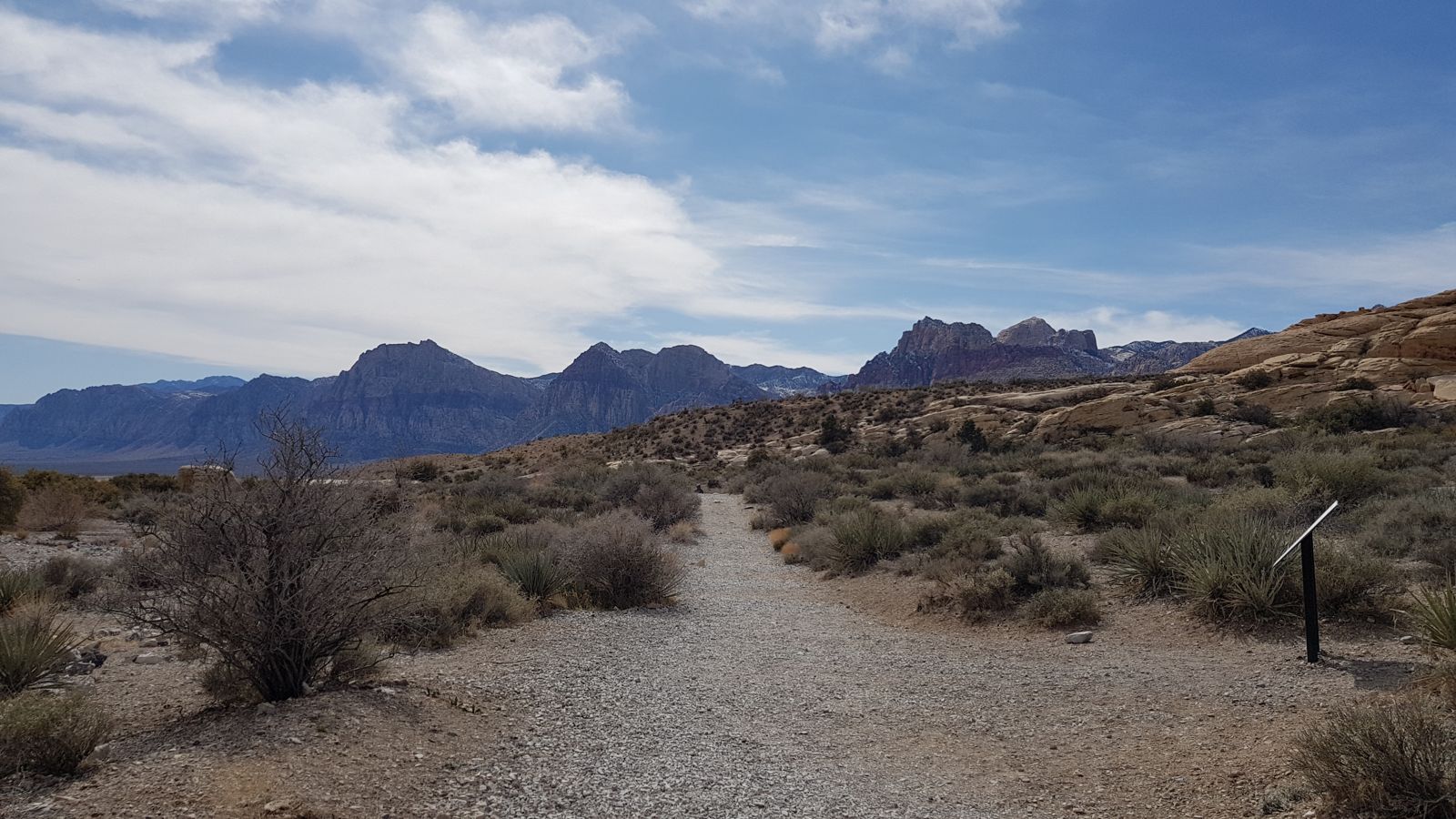 Immersed in Vegas: Red Rock Canyon, casinos and contrasting realities