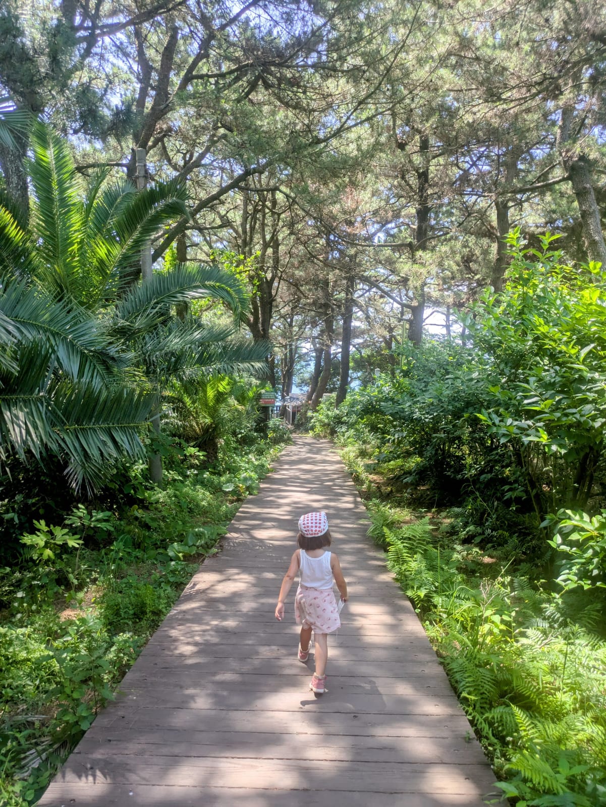 Une petite fille marche sur un sentier en bois bordé de végétation luxuriante, avec des arbres et des plantes tropicales à proximité.