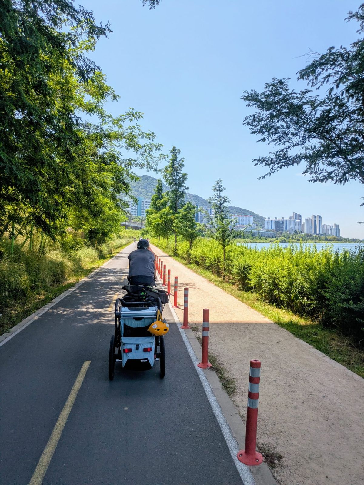 Un cycliste tirant une remorque sur une piste cyclable bordée d'arbres, avec des immeubles en arrière-plan et un ciel bleu.