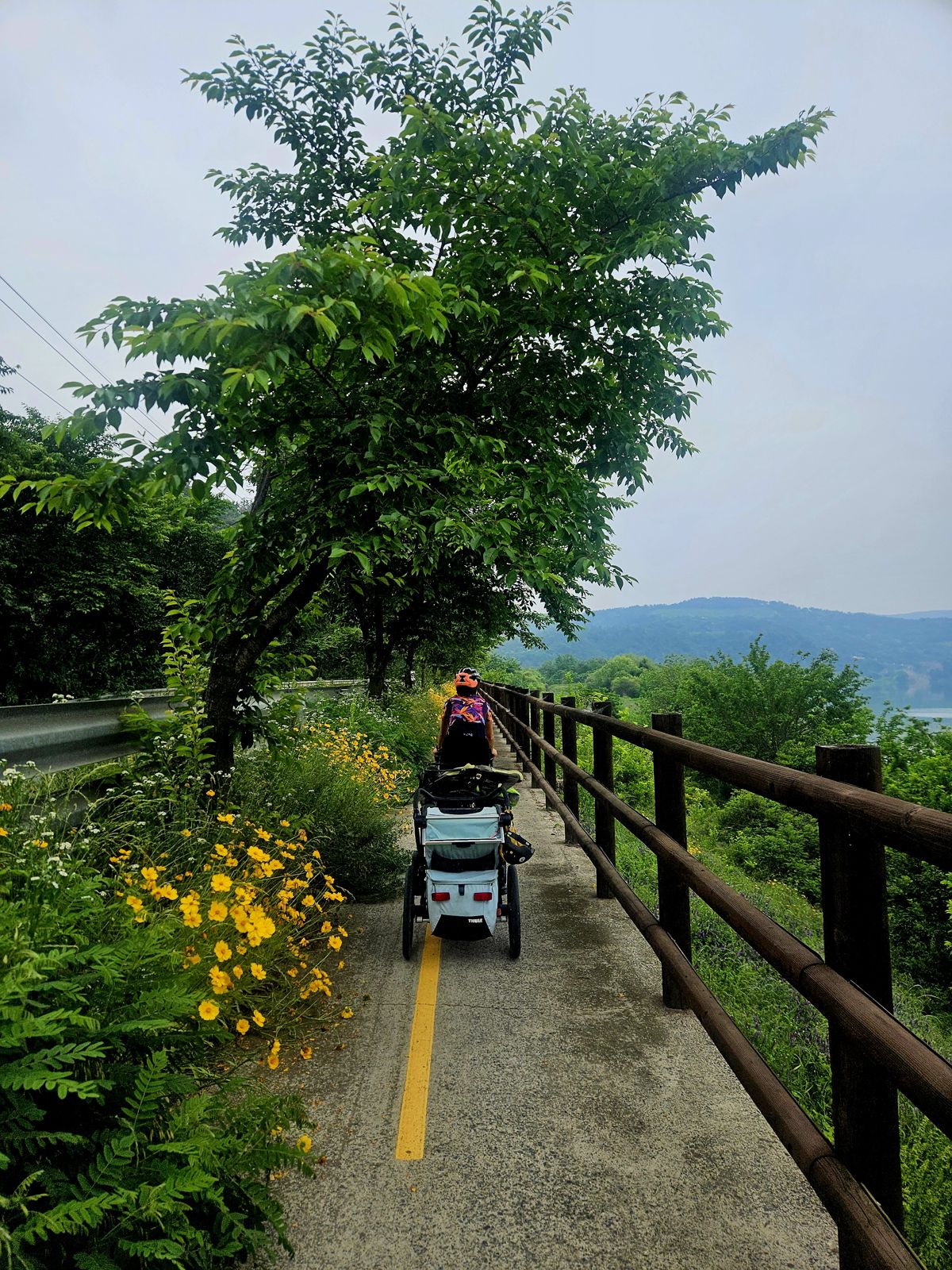 Une cycliste sur une véloroute entourée de verdure et de fleurs jaunes, tirant une remorque, sous un ciel nuageux.