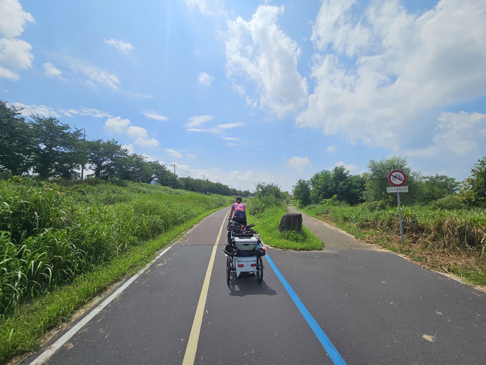 Une scène d'une véloroute en Corée du Sud avec deux cyclistes devant, une remorque de vélo, des espaces verts de chaque côté, et un ciel bleu parsemé de nuages.