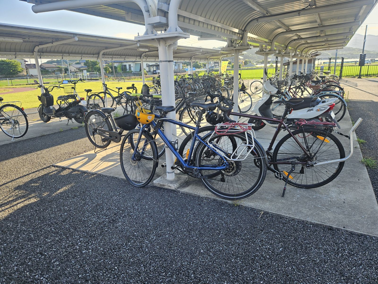 Un parc à vélos avec plusieurs bicyclettes garées sous un abri, dont une vélo bleu et un vélo noir avec un petit support arrière.
