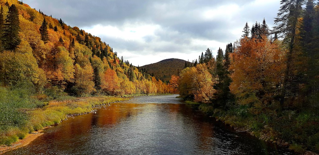 Immanquables de l&rsquo;île d&rsquo;Orléans à&nbsp;Québec