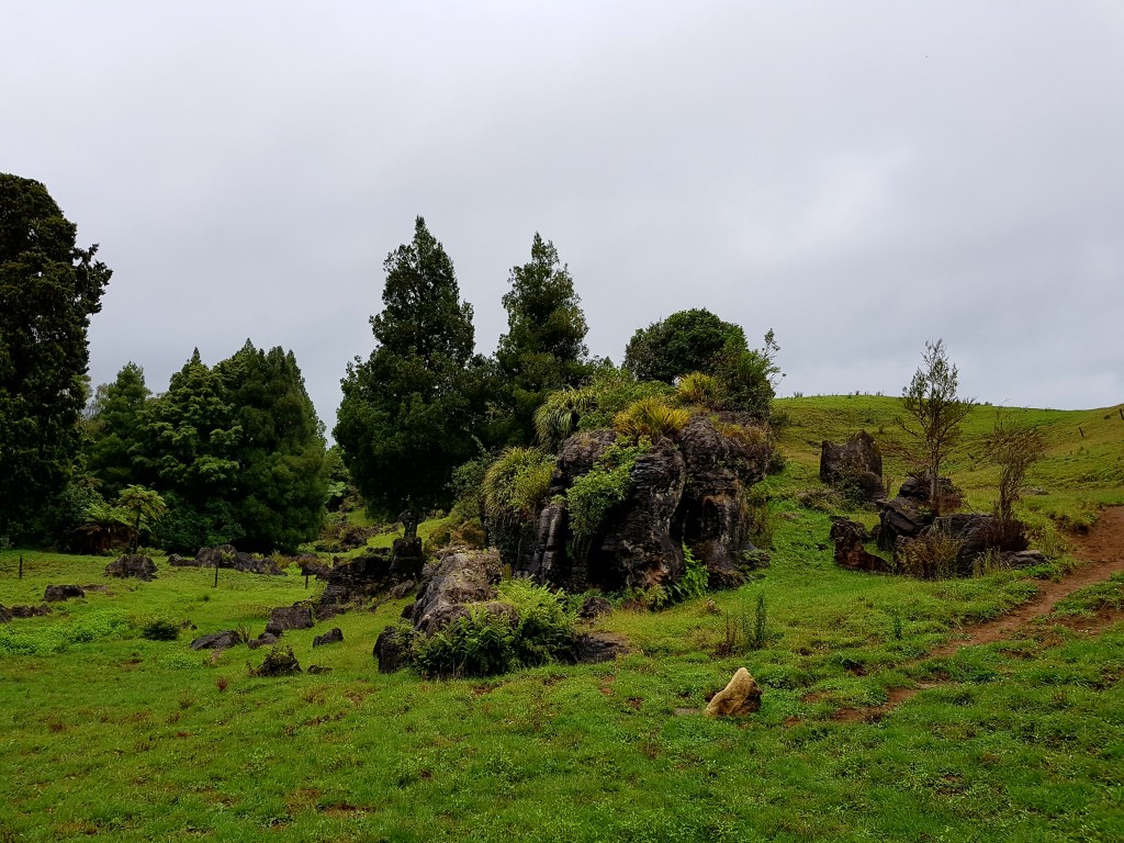 Visite des jardins botaniques d&rsquo;Hamilton : immersion culturelle et&nbsp;ludique