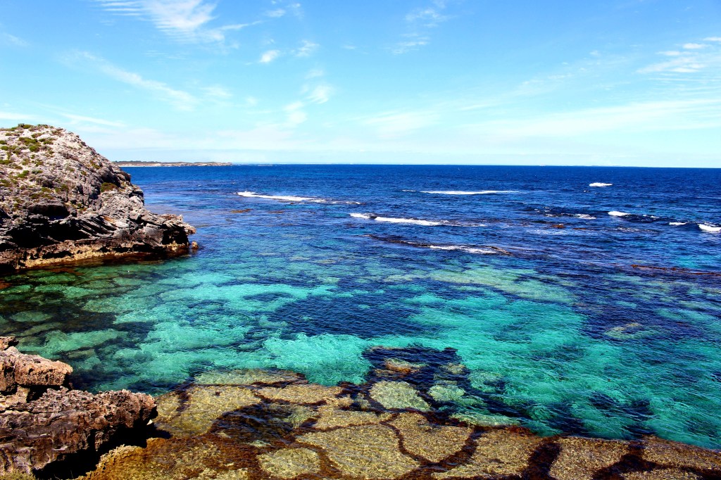 Découverte de Rottnest Island et blessure à&nbsp;vélo