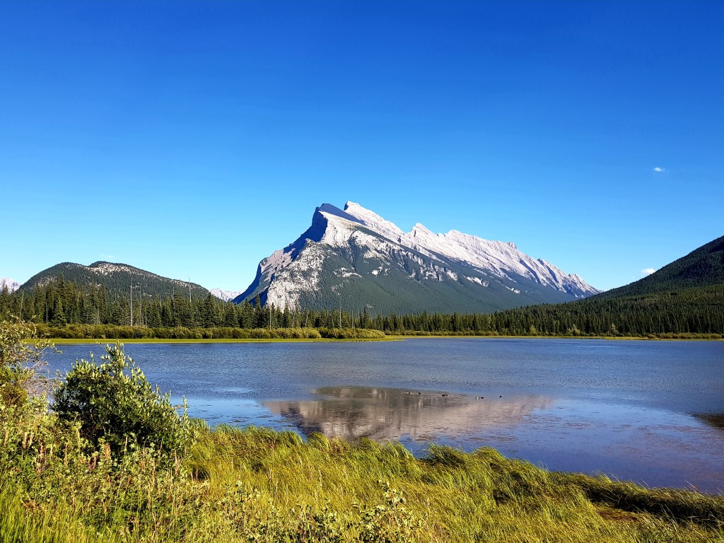 Aventure cycliste dans les Rocheuses pour un&nbsp;anniversaire