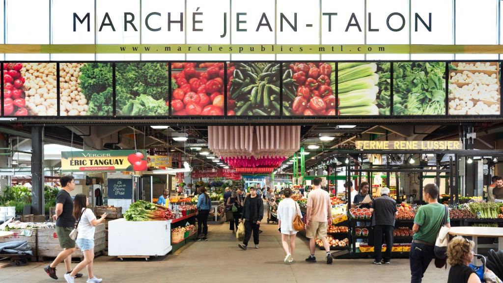 Aventure à Montréal : Démarches Administratives et&nbsp;Découvertes