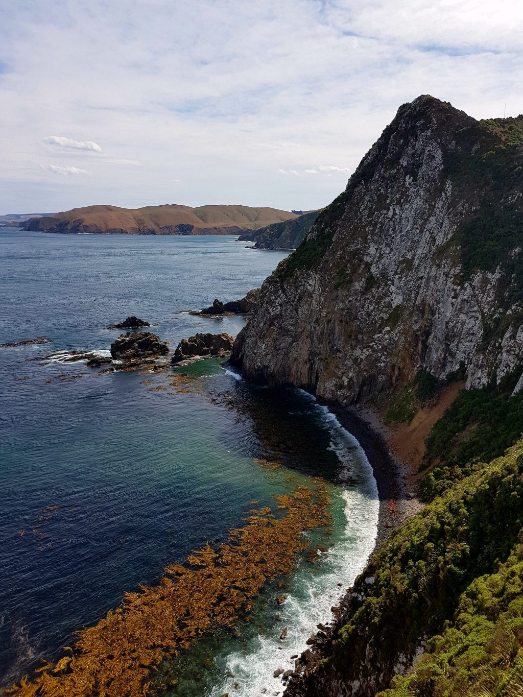Découverte de Dunedin : incendie, péripéties et rires en&nbsp;pente