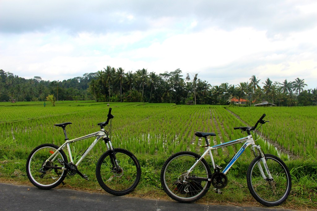 Journée de vélo à Bali : entre rizières et&nbsp;temples