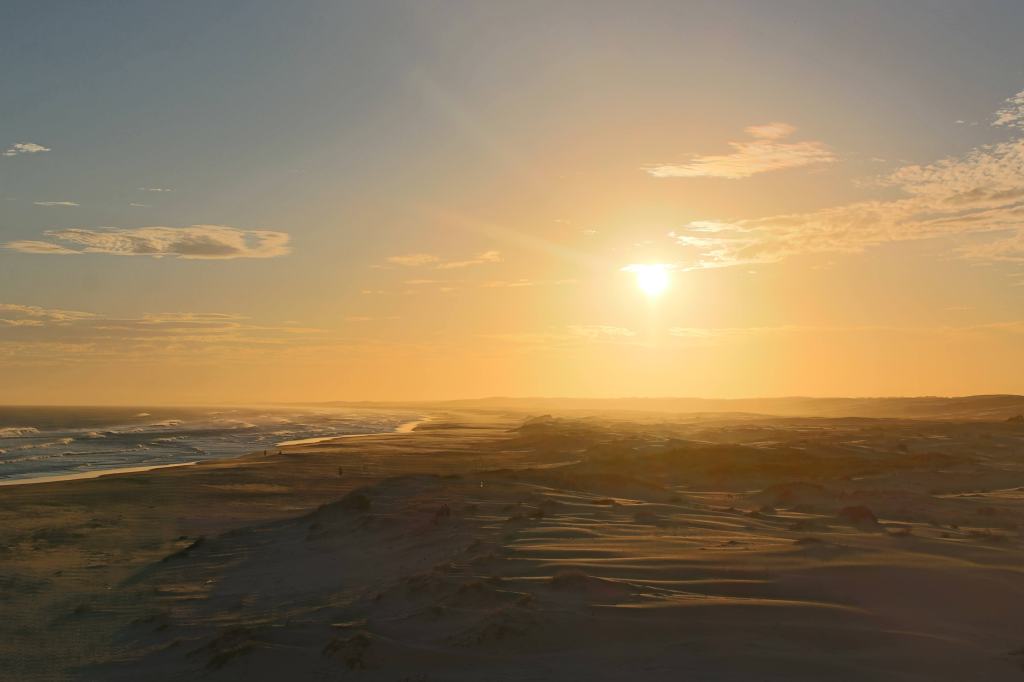 Découverte de la faune australienne et frayeur aquatique à&nbsp;Newcastle