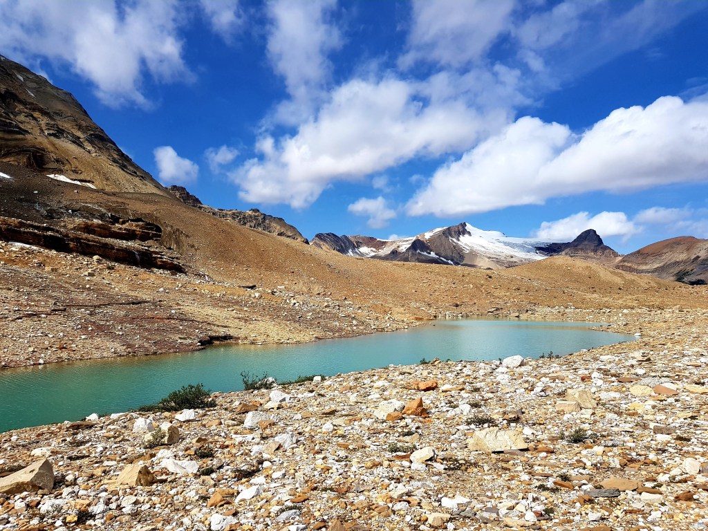 Aventures au Glacier de l&rsquo;Iceline Trail en Colombie-Britannique