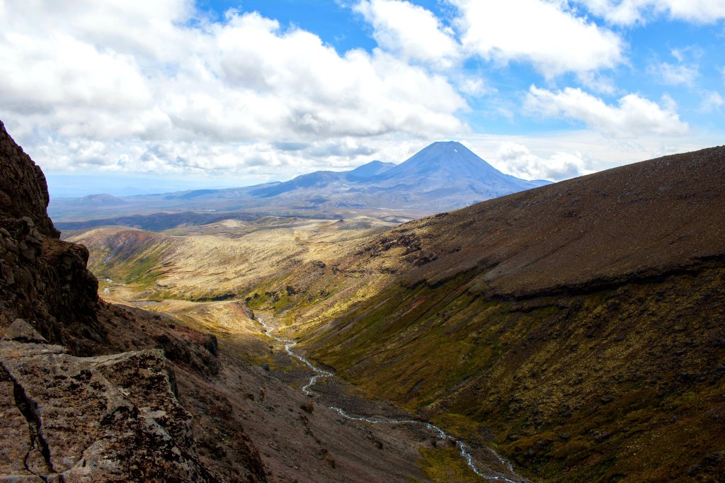 Rencontre et découverte en Nouvelle-Zélande : de Wellington au Cap&nbsp;Palliser