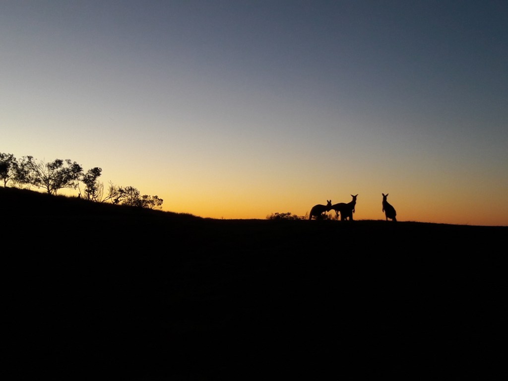 La ferme de bœufs, une certaine idée de&nbsp;l&rsquo;enfer