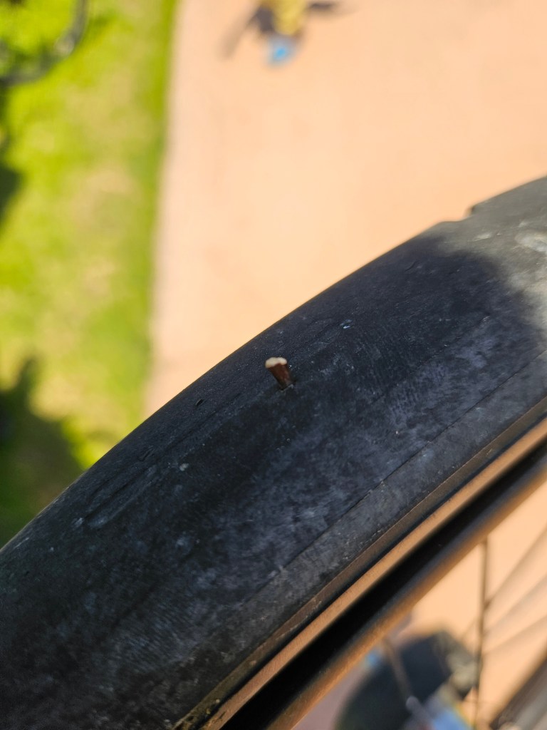 Gros plan sur un pneu de vélo avec une épine plantée dans la bande de roulement, en arrière-plan flou, suggérant un environnement naturel.