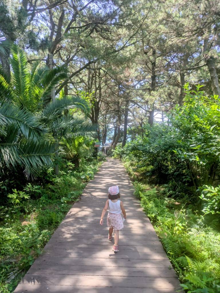 Une petite fille marche sur un sentier en bois bordé de végétation luxuriante, avec des arbres et des plantes tropicales à proximité.