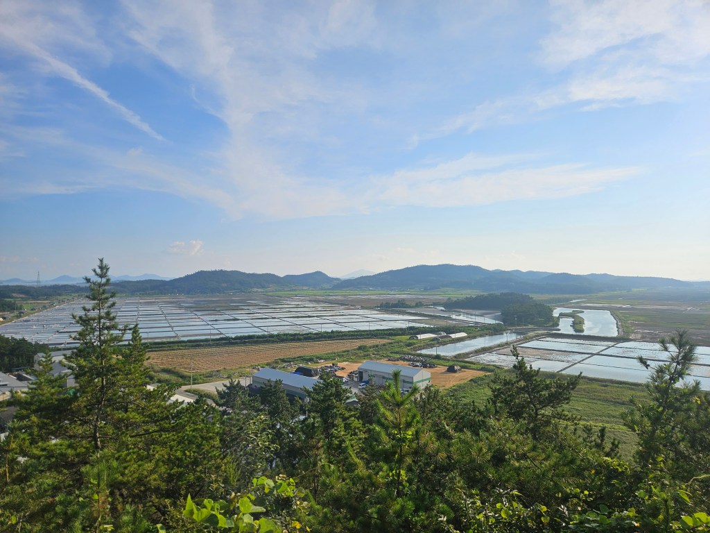 Des sauts de puce sur les îles de l’archipel de Sinan