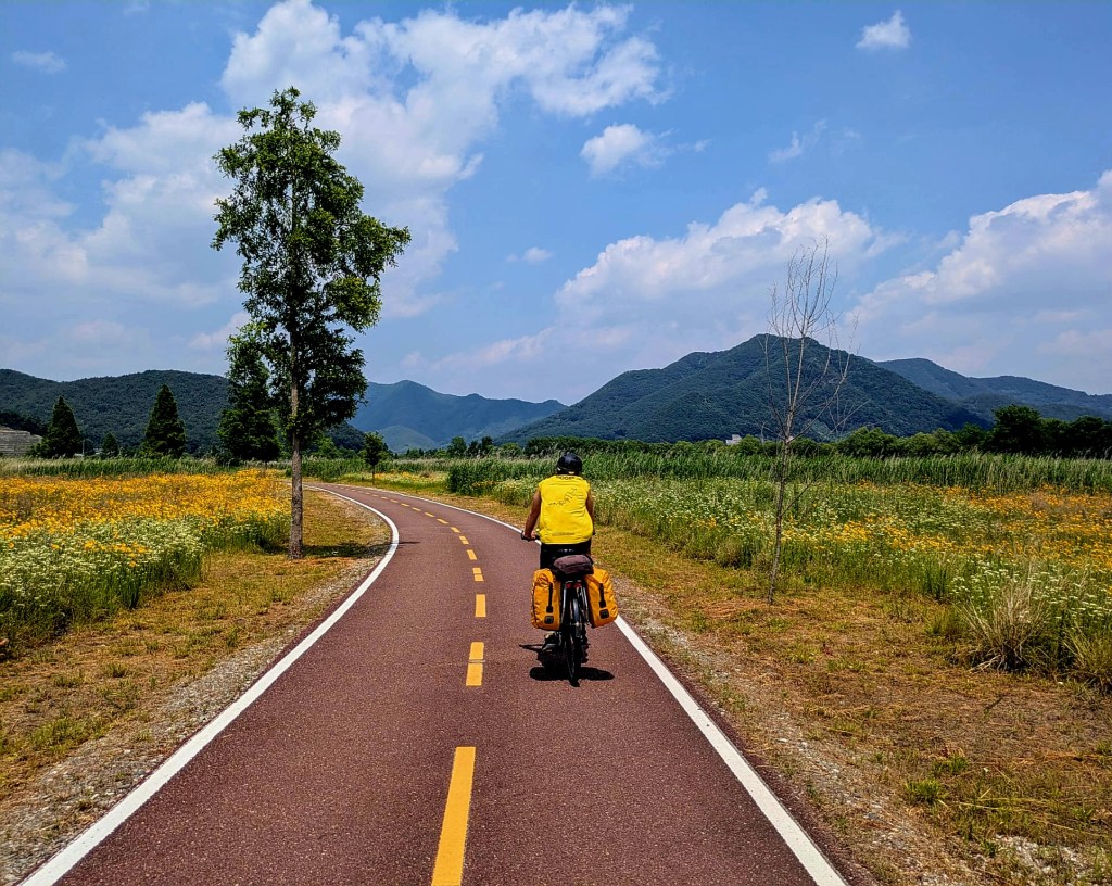 Un cycliste sur une route cyclable entourée de champs fleuris et de collines sous un ciel bleu.